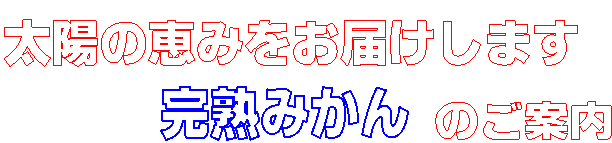 �̂��ē�
,���z�̌b�݂����͂����܂�,���n�݂���