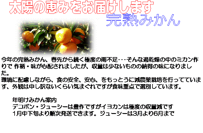 PB244416,���z�̌b�݂����͂����܂�,���n�݂���